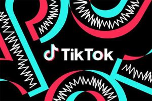 Tiktok线上60天落地陪跑教程