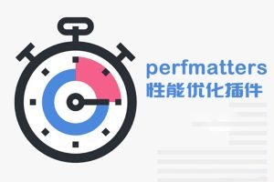 Perfmatters（脚本优化）