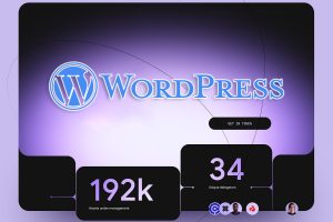 WordPress独立站教学